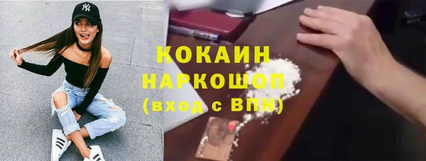 прущие грибы Дмитров