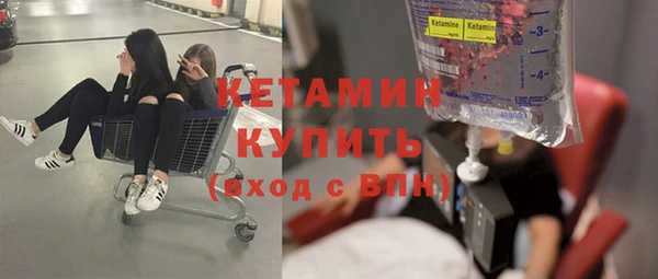 прущие грибы Дмитров