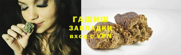 прущие грибы Дмитриев