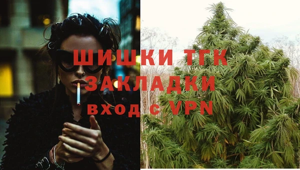 прущие грибы Дмитриев