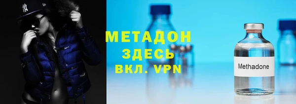 прущие грибы Дмитров