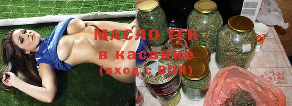 прущие грибы Дмитров
