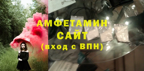 прущие грибы Дмитров