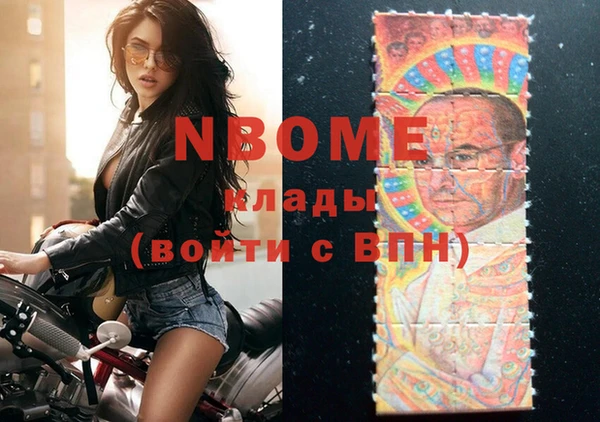прущие грибы Дмитриев