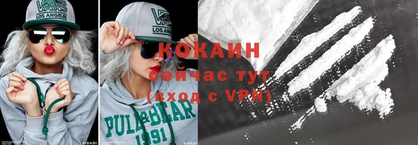 прущие грибы Дмитриев